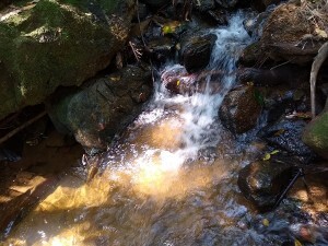 termo-de-referencia-para-projeto-de-novo-sistema-de-abastecimento-e-captacao-de-agua-ja-foi-entregue