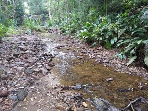 samae-suspendeu-por-hora-o-estado-de-atencao-em-relacao-ao-abastecimento-de-agua